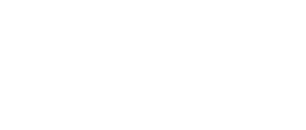 Steadfast - Strength When You Need It